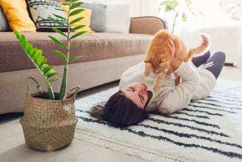 Pet-Friendly Carpets: Creating a Comfortable and Emotionally Engaging Home for Your Furry Friends